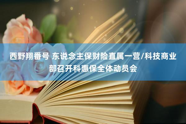 西野翔番号 东说念主保财险直属一营/科技商业部召开科惠保全体动员会