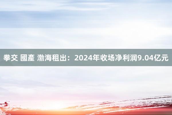 拳交 國產 渤海租出：2024年收场净利润9.04亿元