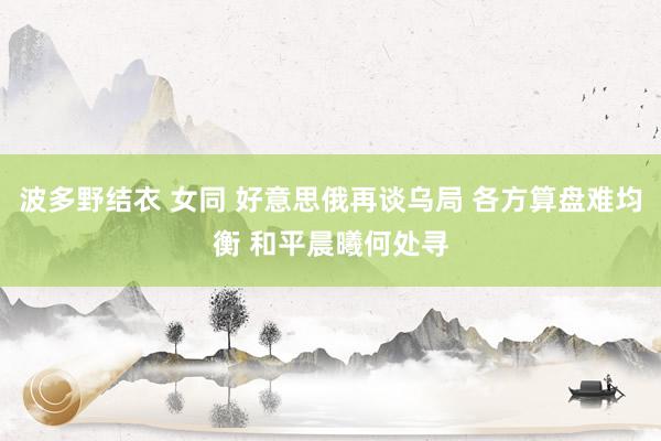 波多野结衣 女同 好意思俄再谈乌局 各方算盘难均衡 和平晨曦何处寻