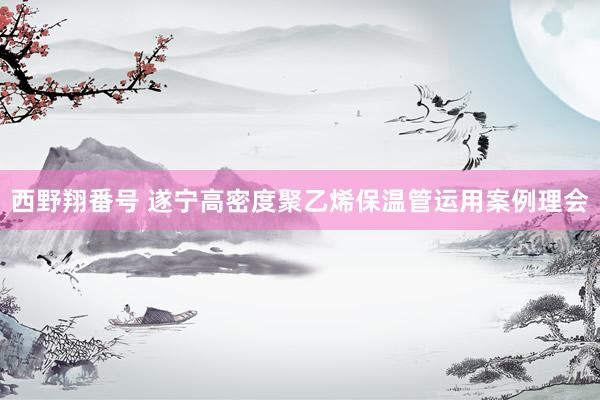 西野翔番号 遂宁高密度聚乙烯保温管运用案例理会