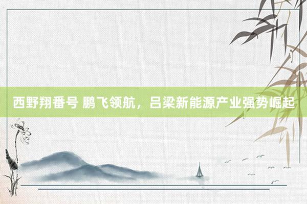 西野翔番号 鹏飞领航，吕梁新能源产业强势崛起