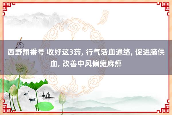西野翔番号 收好这3药, 行气活血通络, 促进脑供血, 改善中风偏瘫麻痹