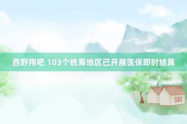 西野翔吧 103个统筹地区已开展医保即时结算