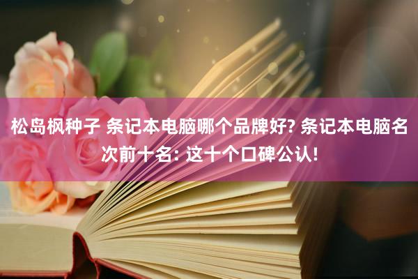 松岛枫种子 条记本电脑哪个品牌好? 条记本电脑名次前十名: 这十个口碑公认!