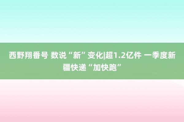 西野翔番号 数说“新”变化|超1.2亿件 一季度新疆快递“加快跑”